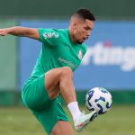 Paulinho. Foto: Cesar Greco/Palmeiras