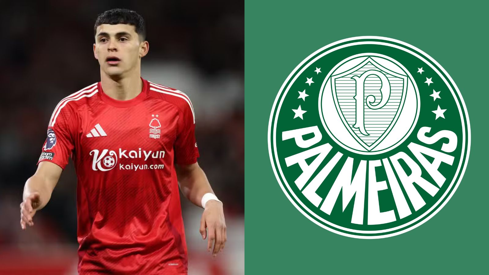 Palmeiras e Sosa: 