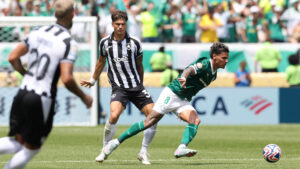 Imagem: Cesar Greco/Palmeiras