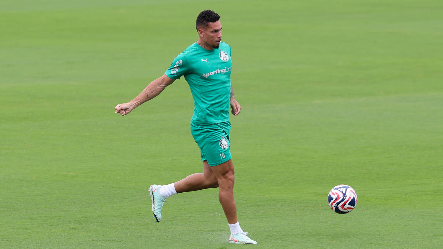 O que Paulinho fez deixou o elenco do Palmeiras sem palavras