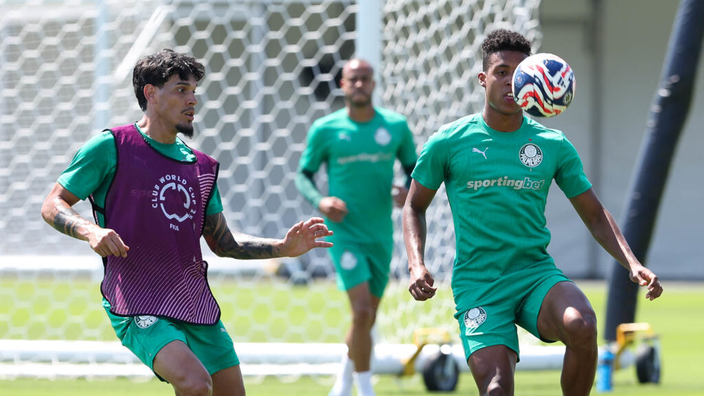Imagem: Cesar Greco/Palmeiras