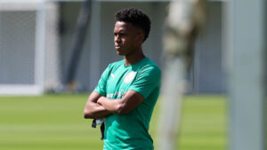 Imagem: Cesar Greco/Palmeiras