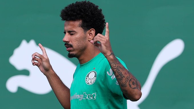 Cesar Greco / Palmeiras