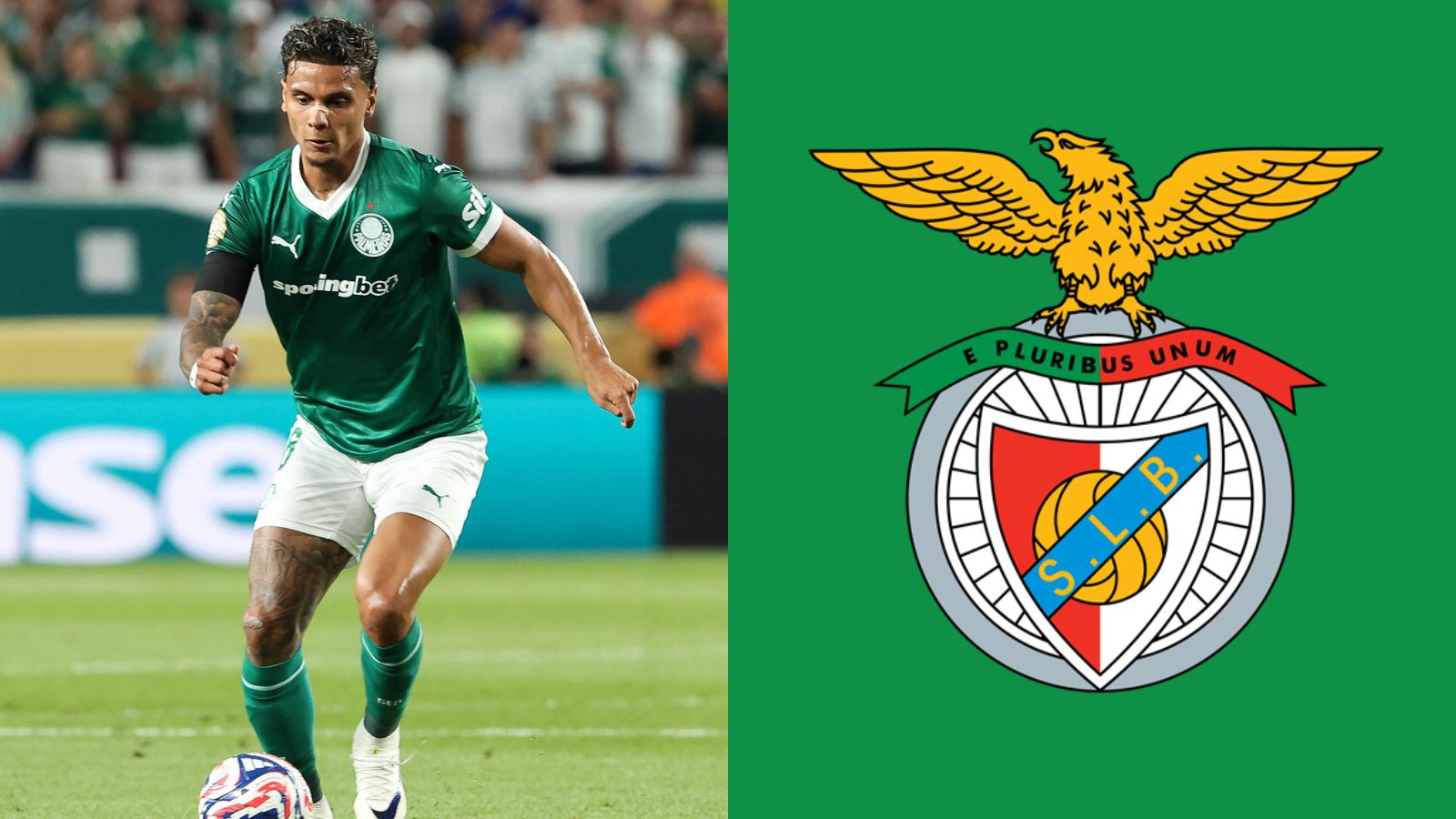 Palmeiras: Benfica ultrapassa Roma e avança por Richard Ríos; veja como está o negócio
