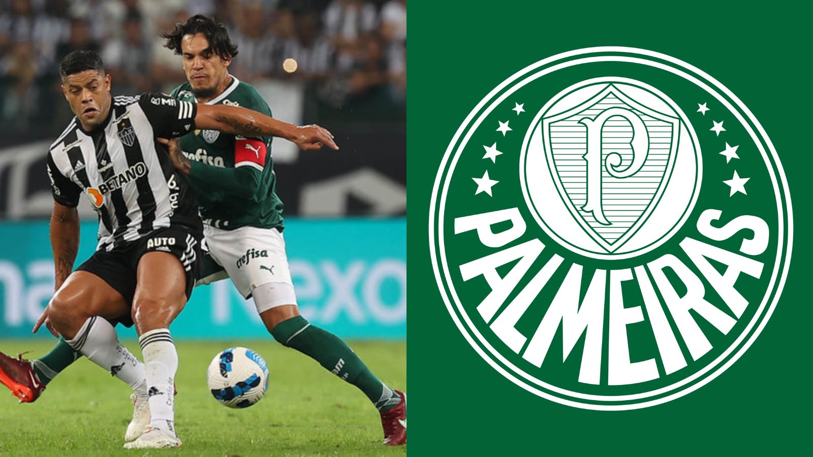 PALMEIRAS ESCALADO! Veja como vem o Verdão para enfrentar o Galo