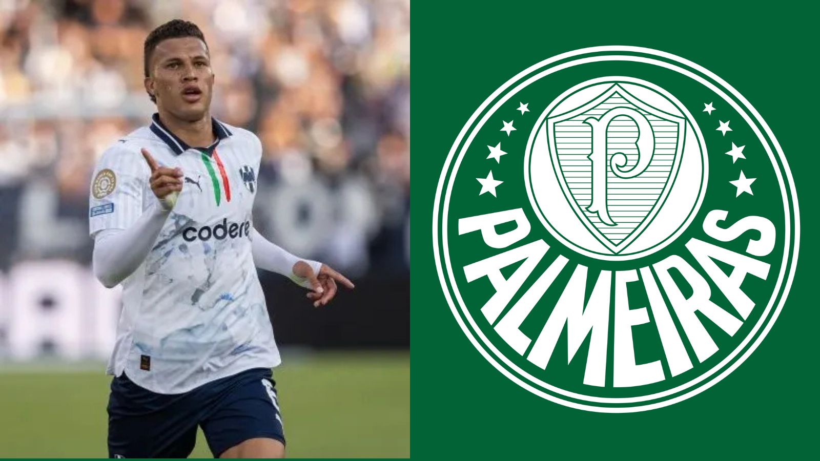 Palmeiras prepara investida pesada por volante do Monterrey