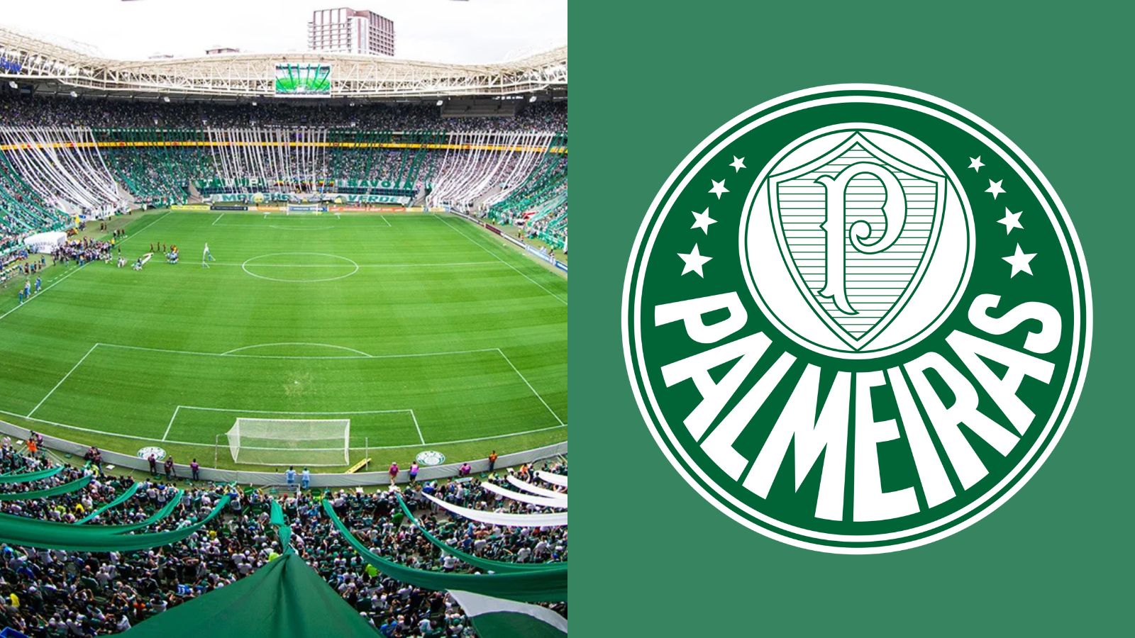Palmeiras faz anúncio sobre jogo com o Mirassol e anima torcedores