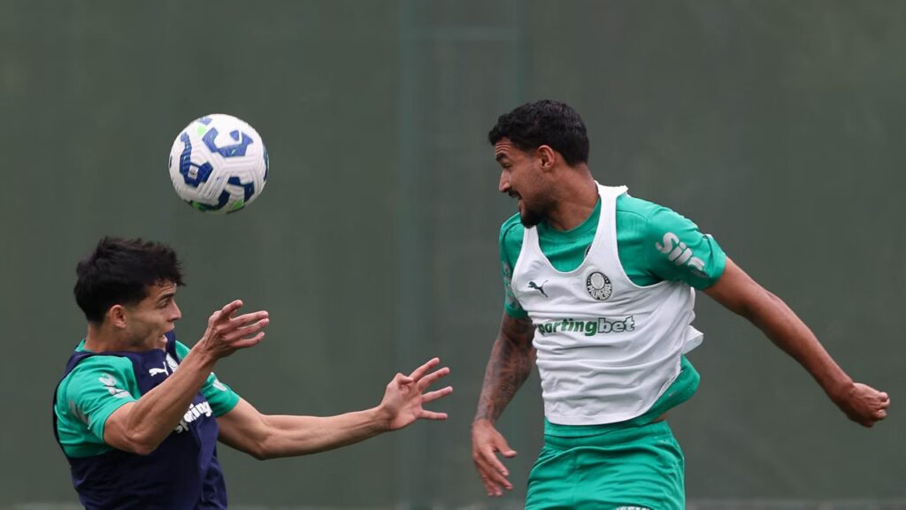 Foto: César Greco/SEP - Notícias Palmeiras