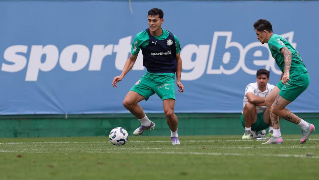 Foto: César Greco/SEP - Notícias Palmeiras