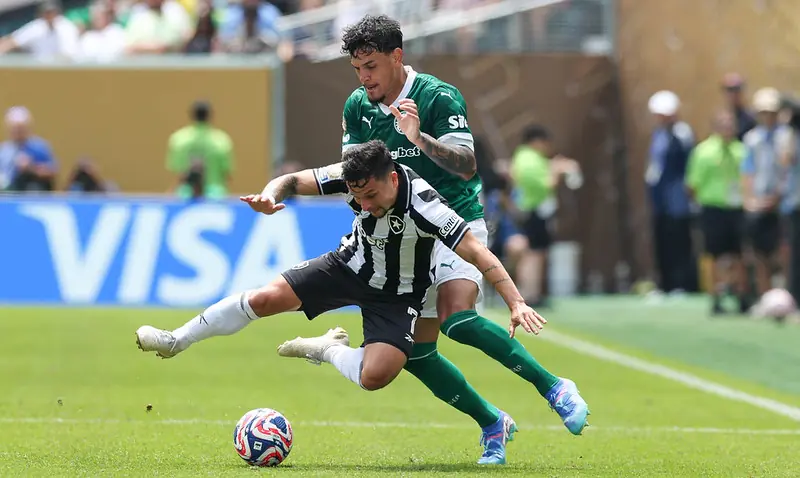 Foto: Cesar Greco/Palmeiras - Jogos Palmeiras