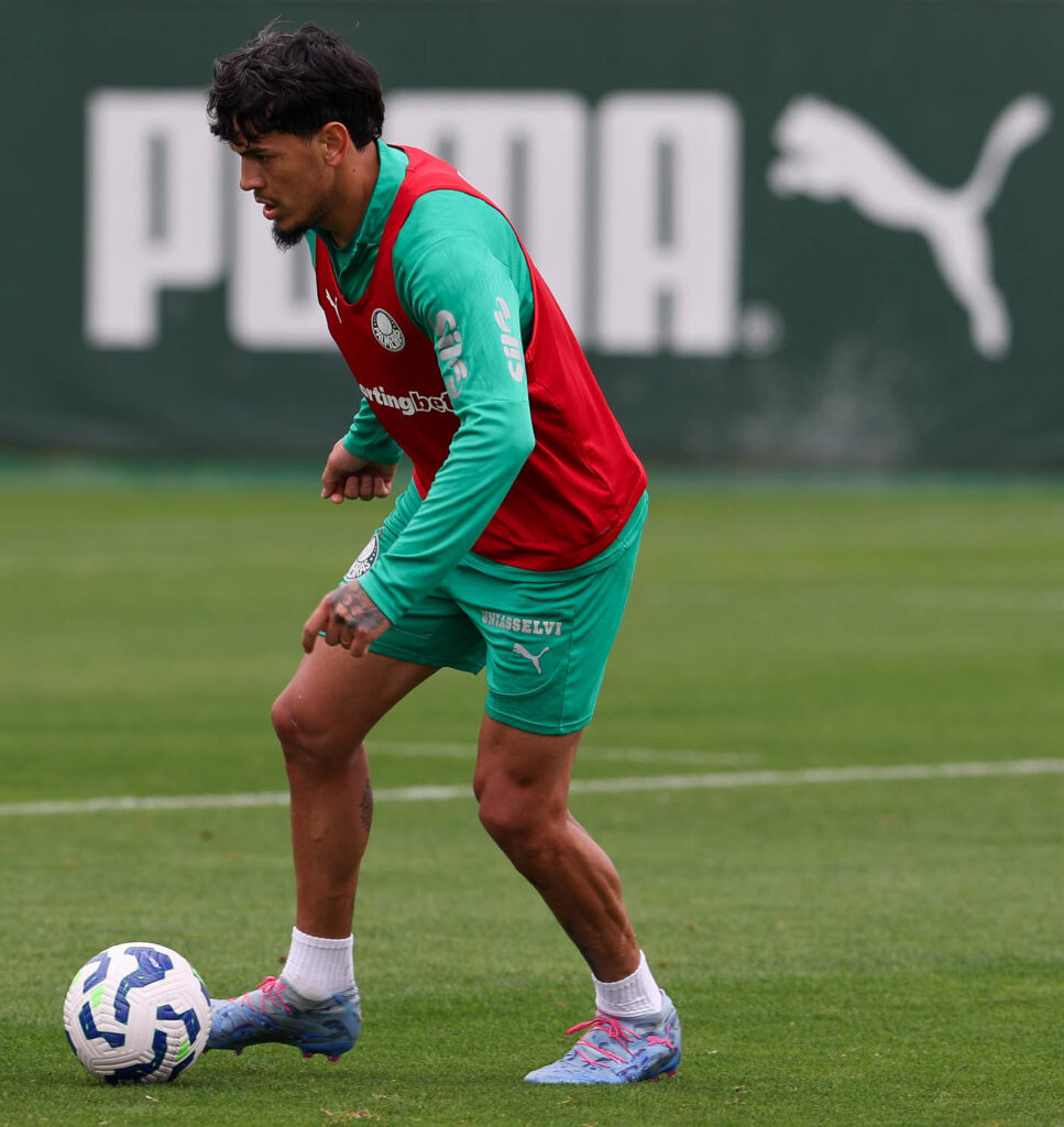 Notícias Palmeiras