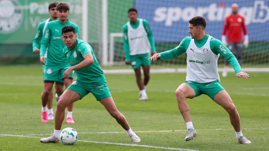 Foto: Cesar Greco/Palmeiras - Notícias Palmeiras