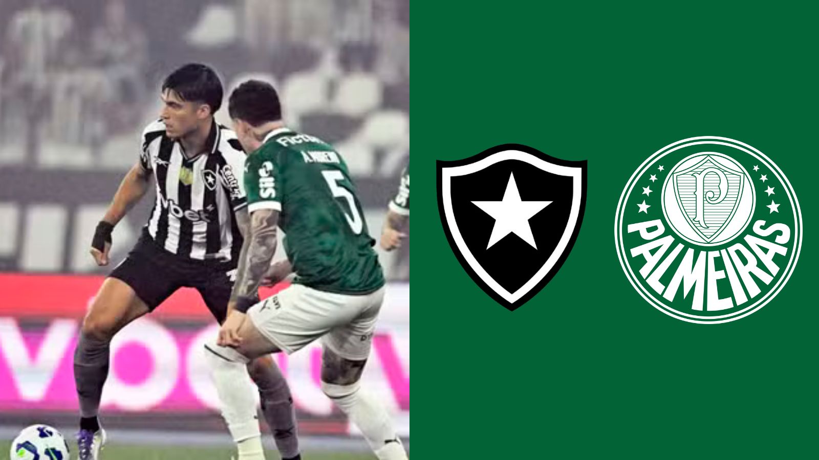 Pós jogo Palmeiras: Verdão é cirúrgico, segura pressão e vence o Botafogo; veja