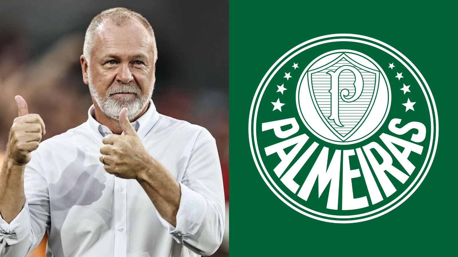 Mercado do Palmeiras: Mano Menezes solicita medalhão do Verdão; veja