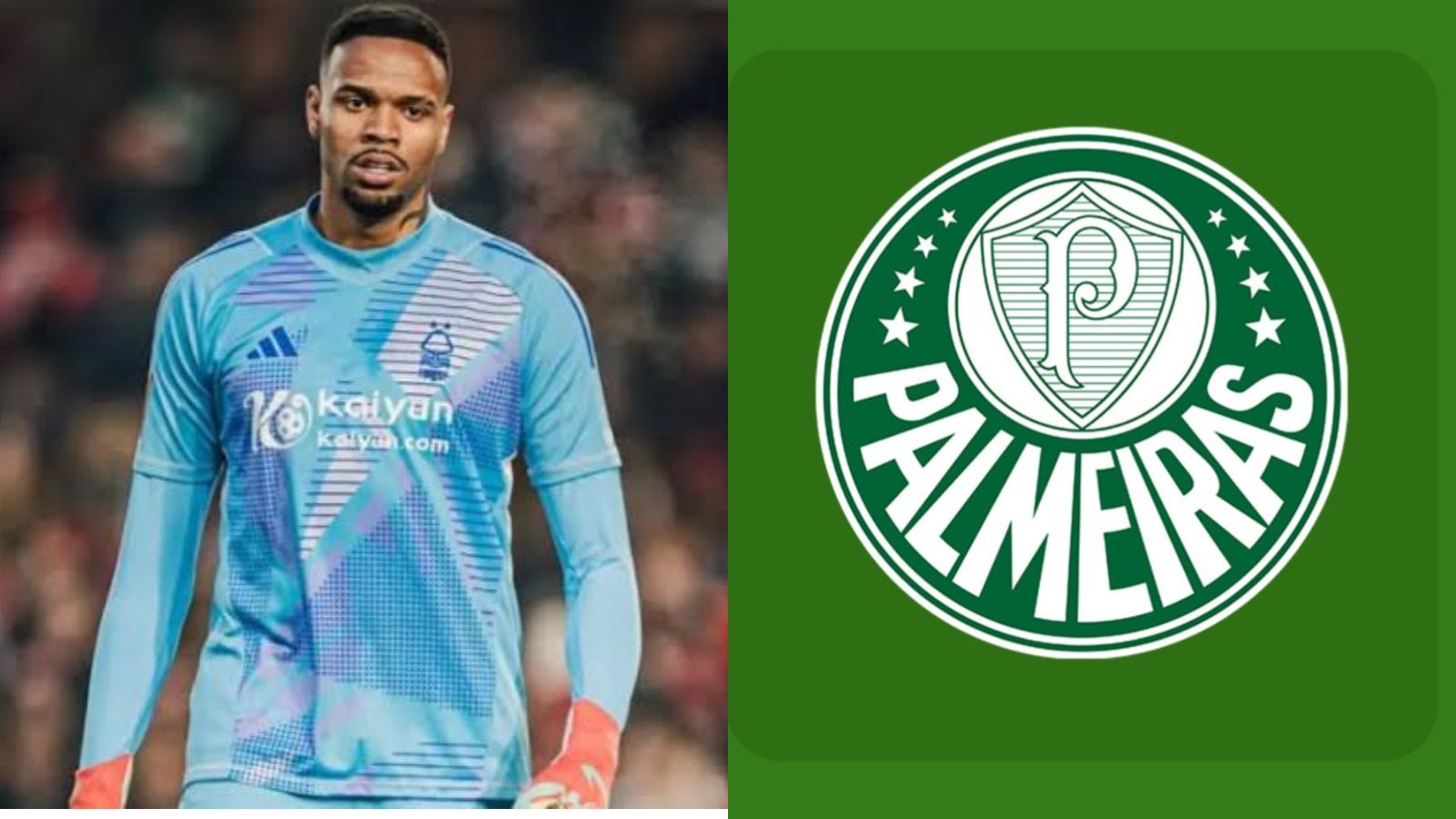 Mercado Palmeiras: 