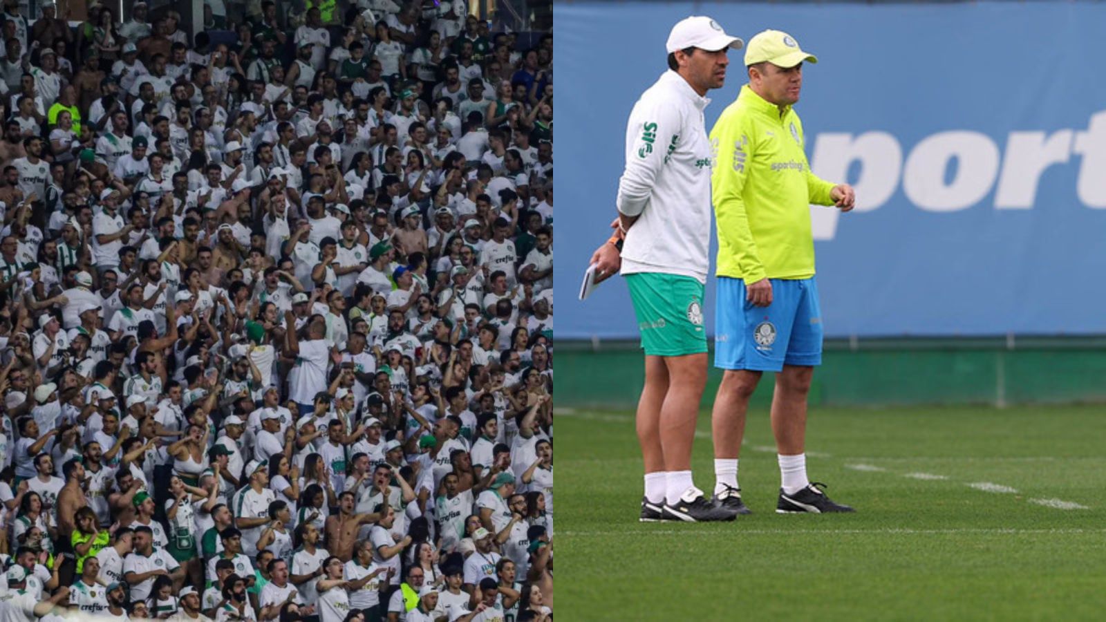 Notícias Palmeiras: Você é time 