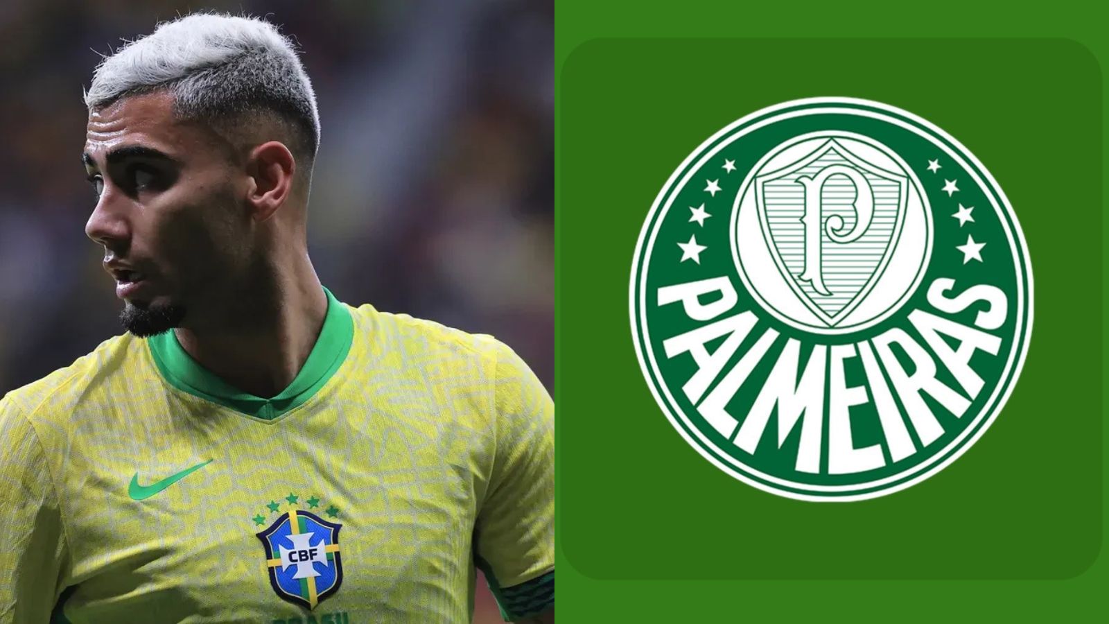 Contratações Palmeiras: Diretoria tem 