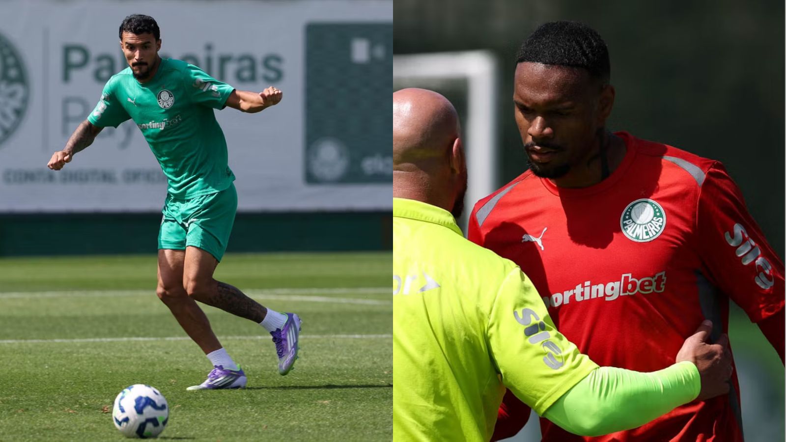 Jogos Palmeiras: Verdão terá novidades e desfalques para duelo contra o Sport