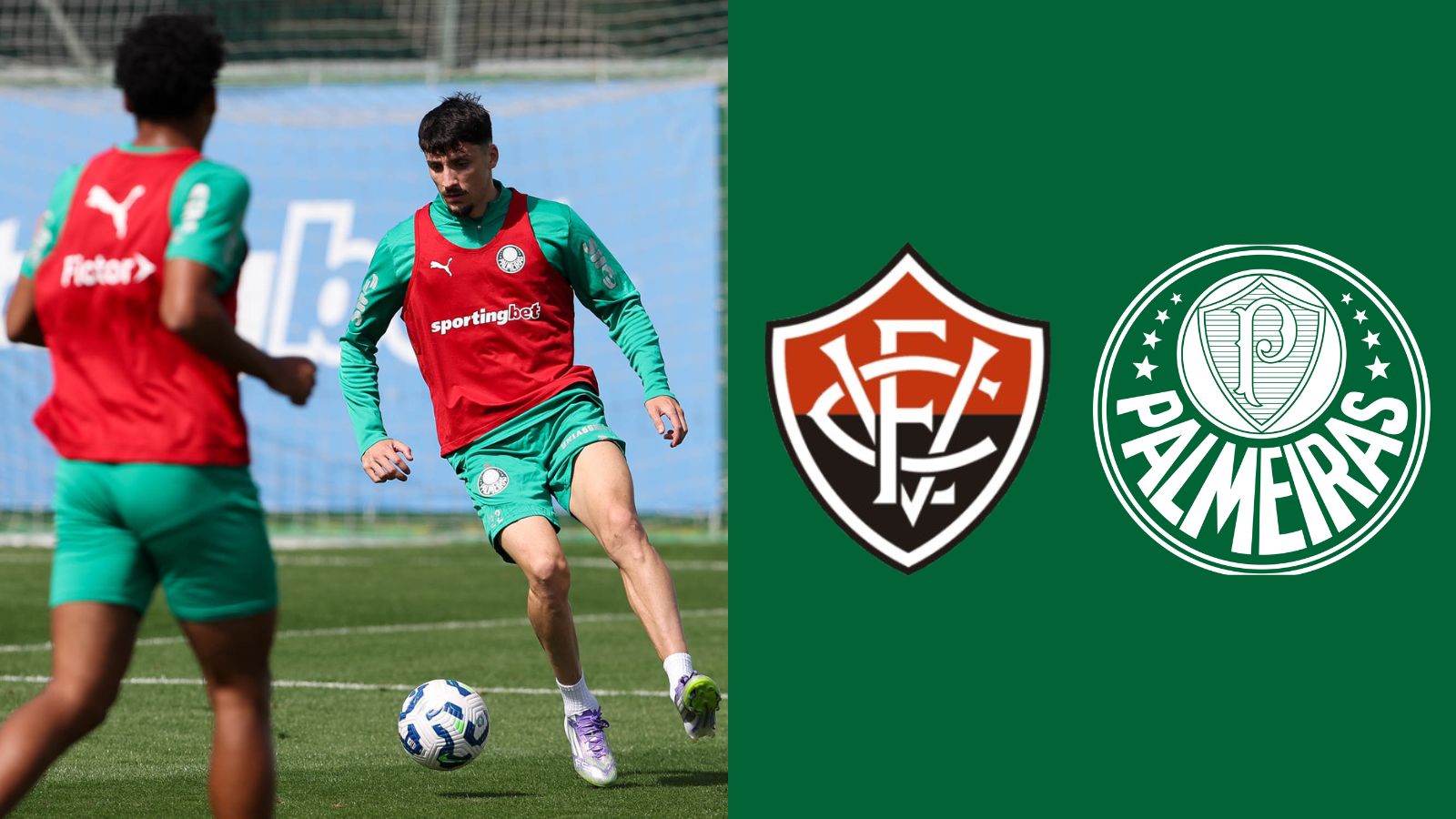 Vitória x Palmeiras: Quais as escalações? Onde assistir? Quem apita?
