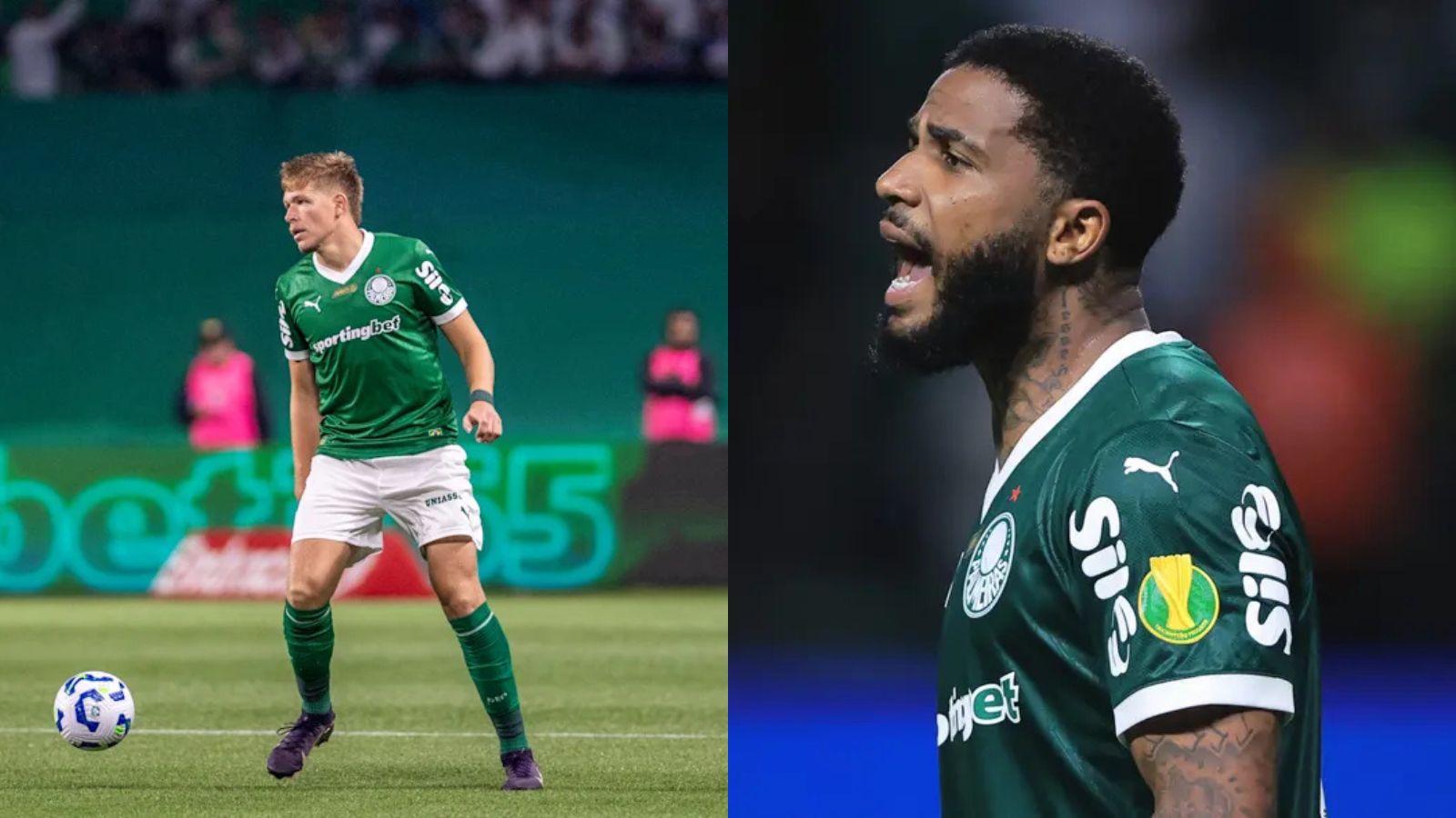Drama na zaga: confira todos os desfalques do Palmeiras para hoje