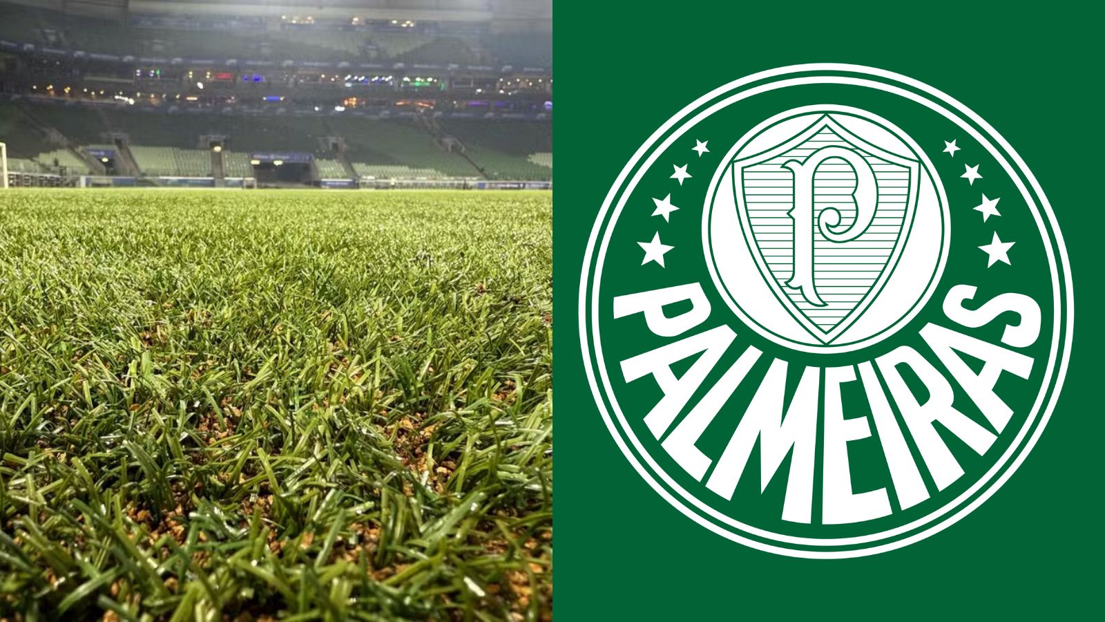 Palmeiras: E o Gramado do Allianz hein? WTorre negocia nova fornecedora