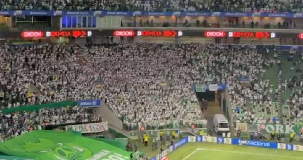 palmeiras