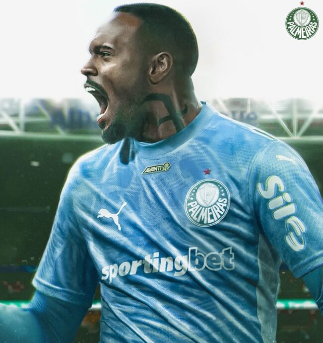 Foto: Redes Sociais - Torcida do Palmeiras