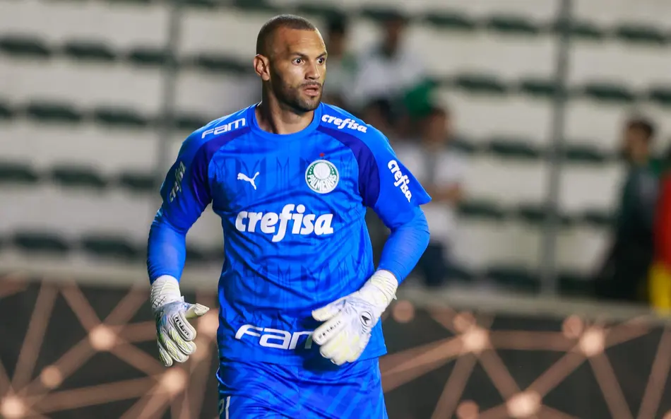 Foto: Luiz Erbes/AGIF - Torcida do Palmeiras