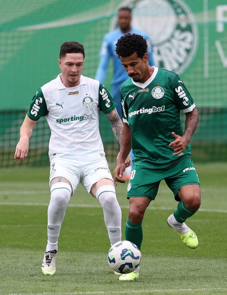 Foto: César Greco/SEP - Jogos Palmeiras