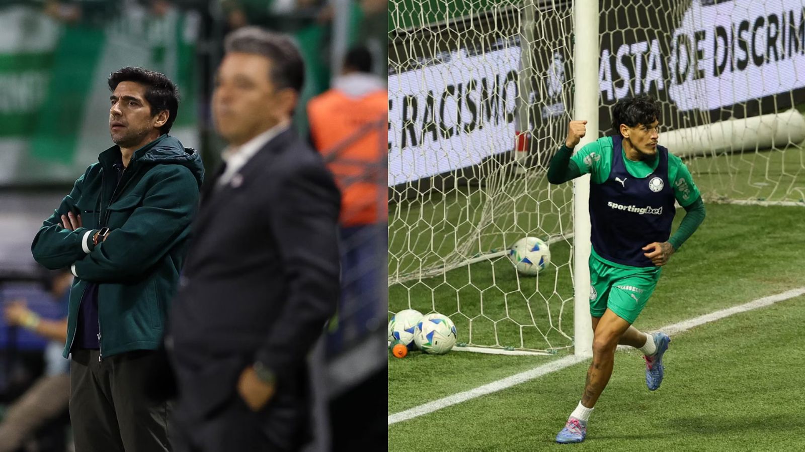 Palmeiras 