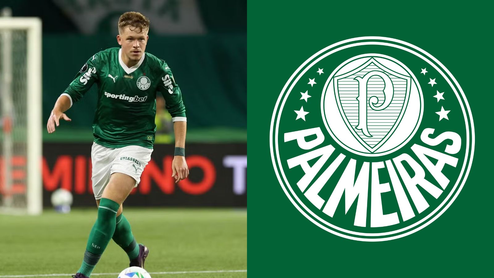 Torcida do Palmeiras foi pega de surpresa com decisão sobre Fuchs para a semifinal