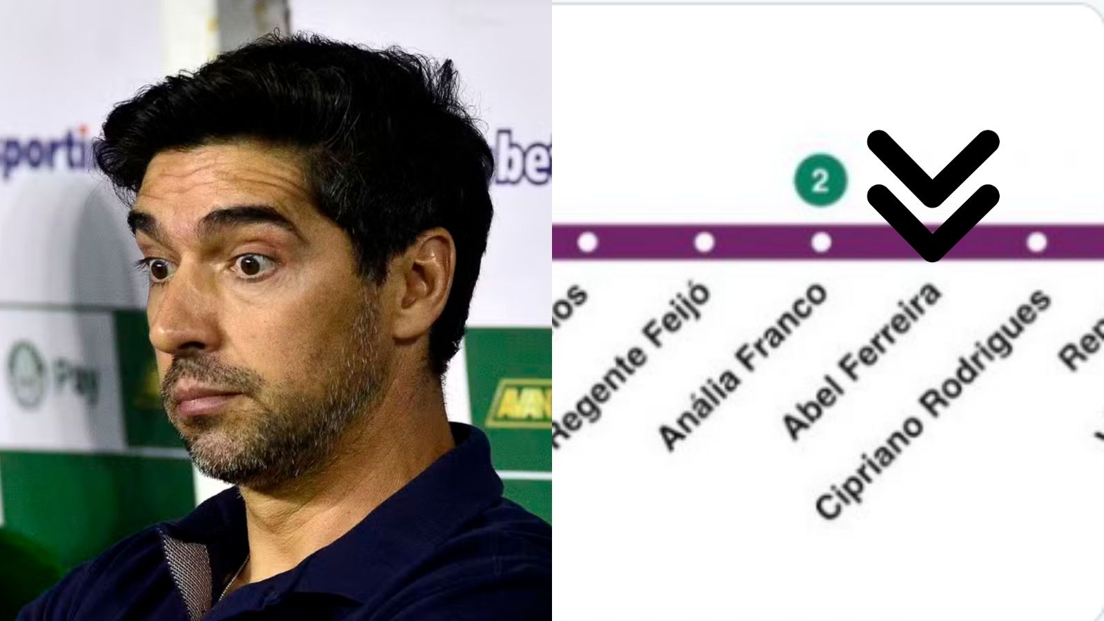 Palmeiras: Estação 
