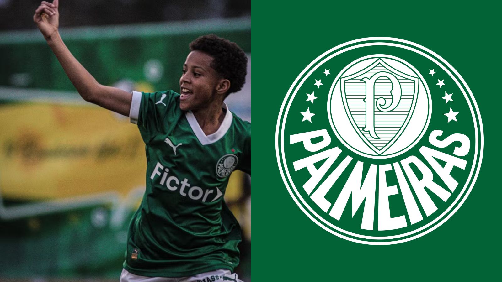 Notícias do Palmeiras: 