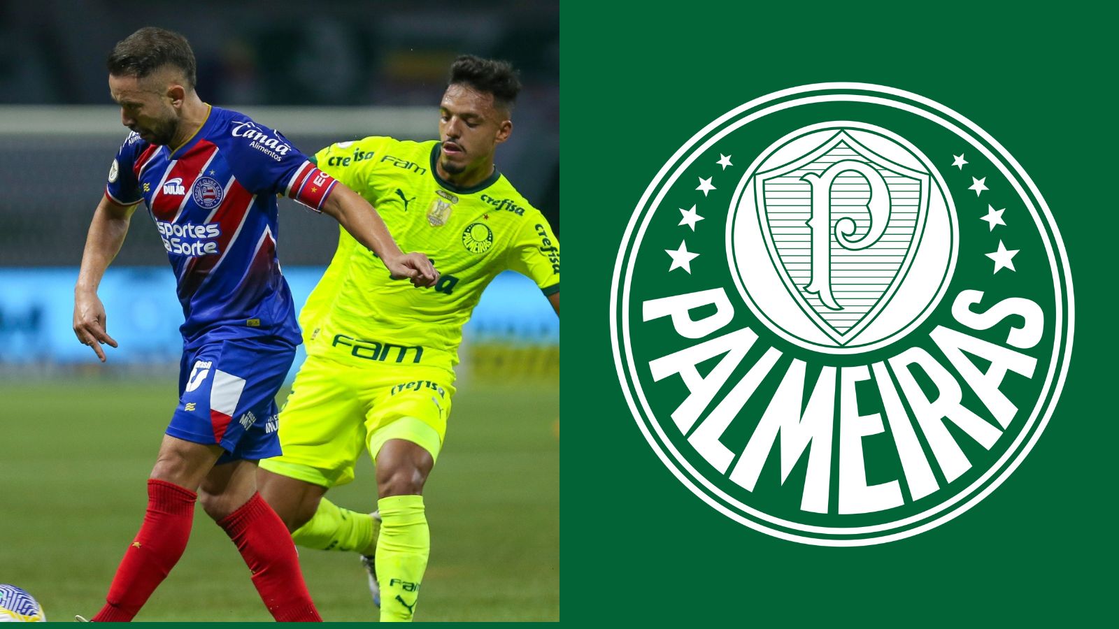 O Verdão tem muitos filhos! Veja o retrospecto entre Palmeiras e Bahia
