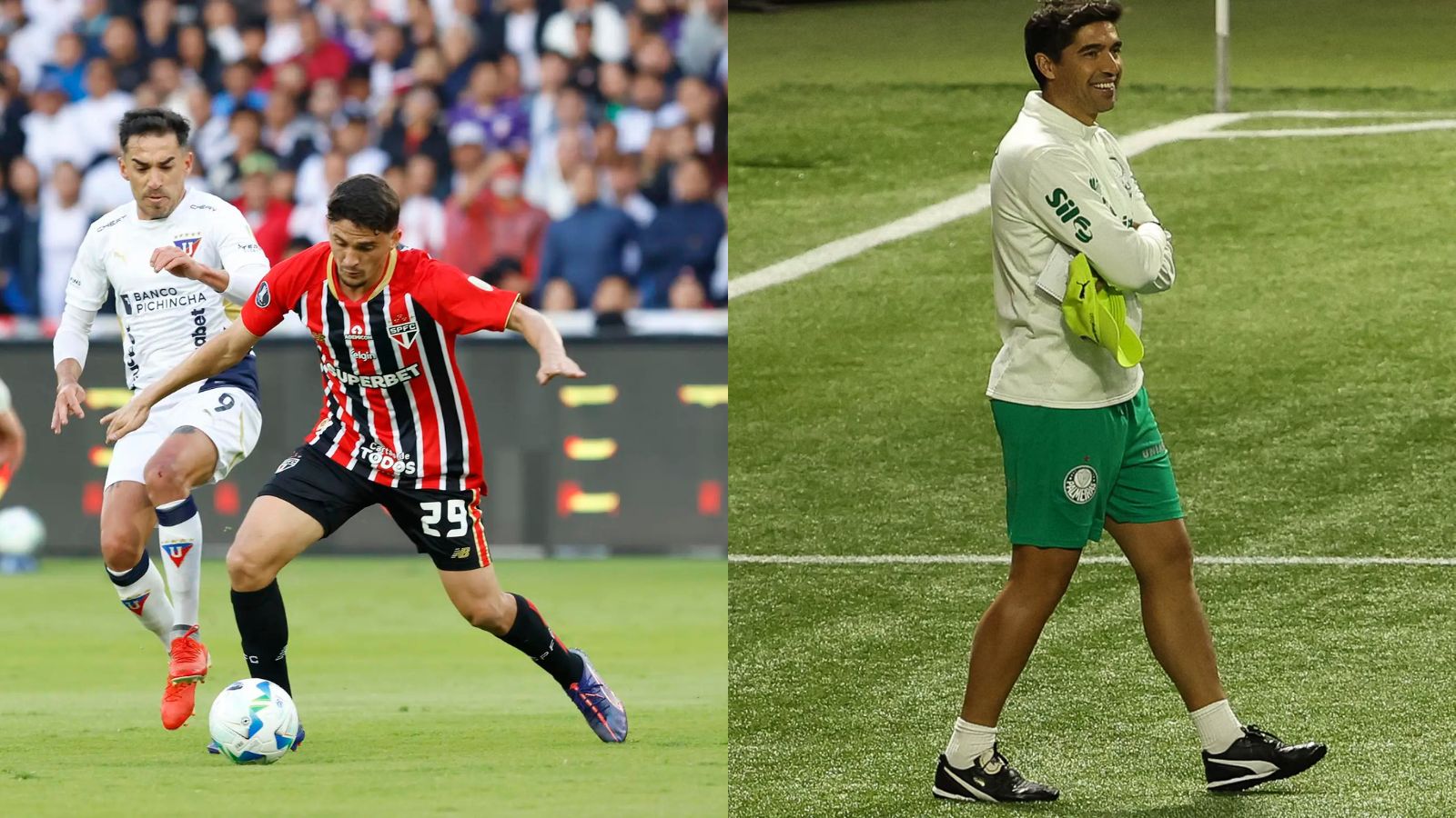 Palmeiras: Abel dispara sobre preferência entre São Paulo e LDU 