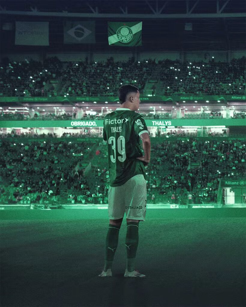 Foto: Redes Sociais - Mercado Palmeiras