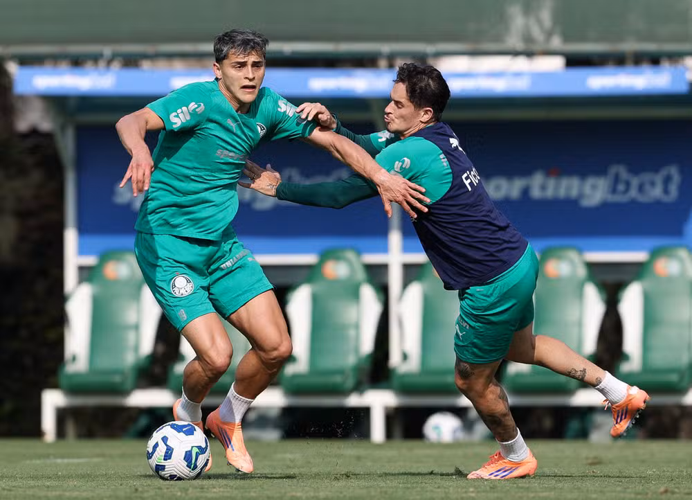 Foto: Cesar Greco / Palmeiras