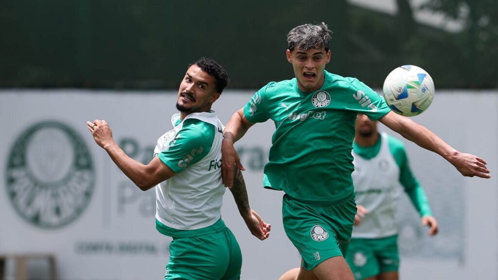 Foto: César Greco / Palmeiras