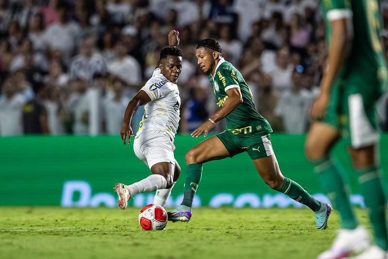 Foto: Jhony Inácio/Ag. Paulistão - palmeiras
