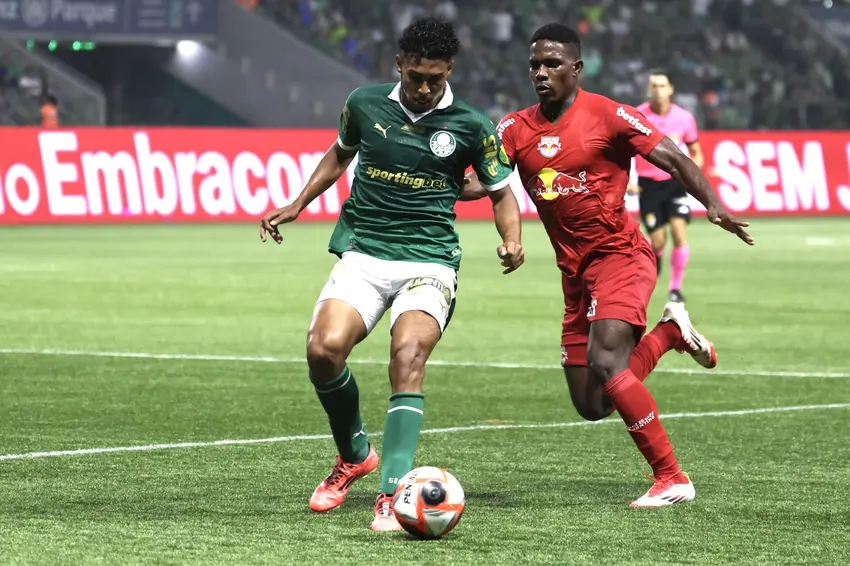 palmeiras