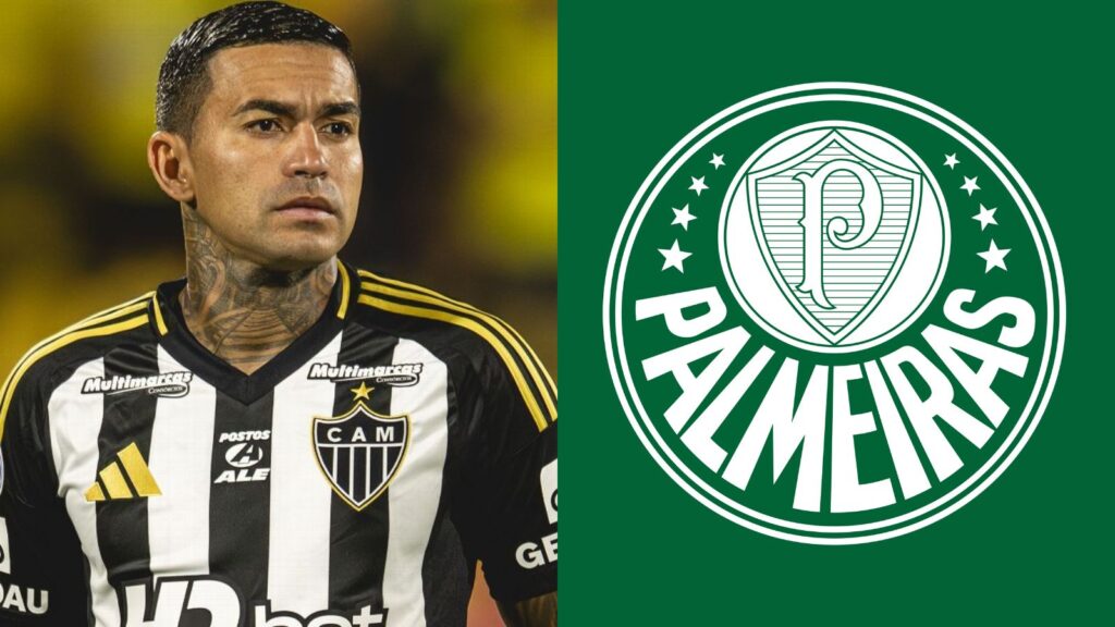 Capas para matérias (10)