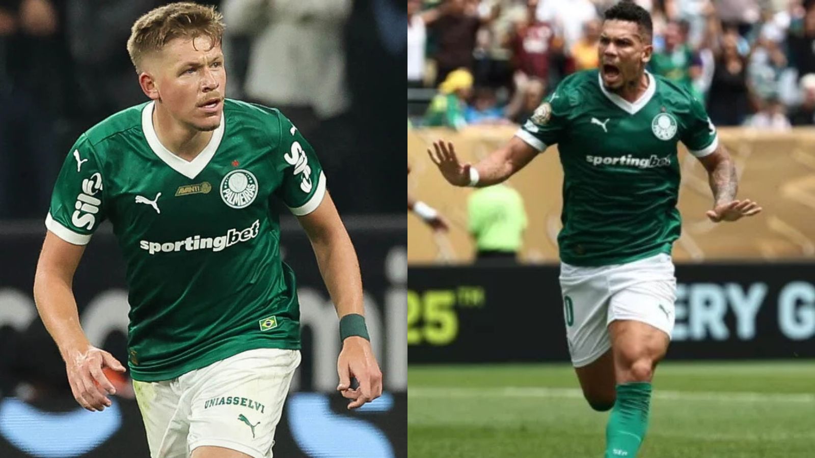 Paulinho faz pedido inusitado e agita os bastidores do Palmeiras nas redes sociais