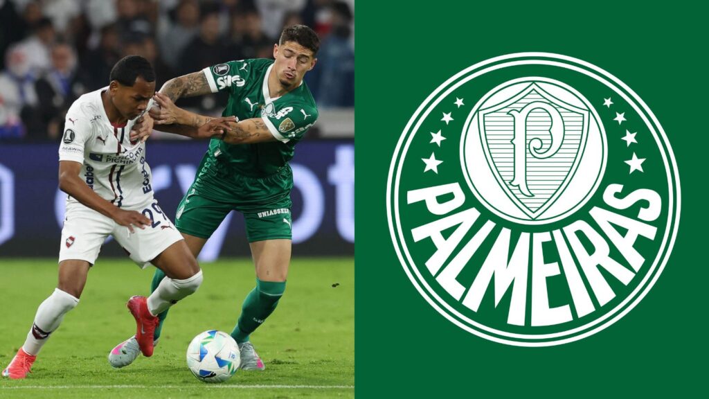 Capas para matérias (20)