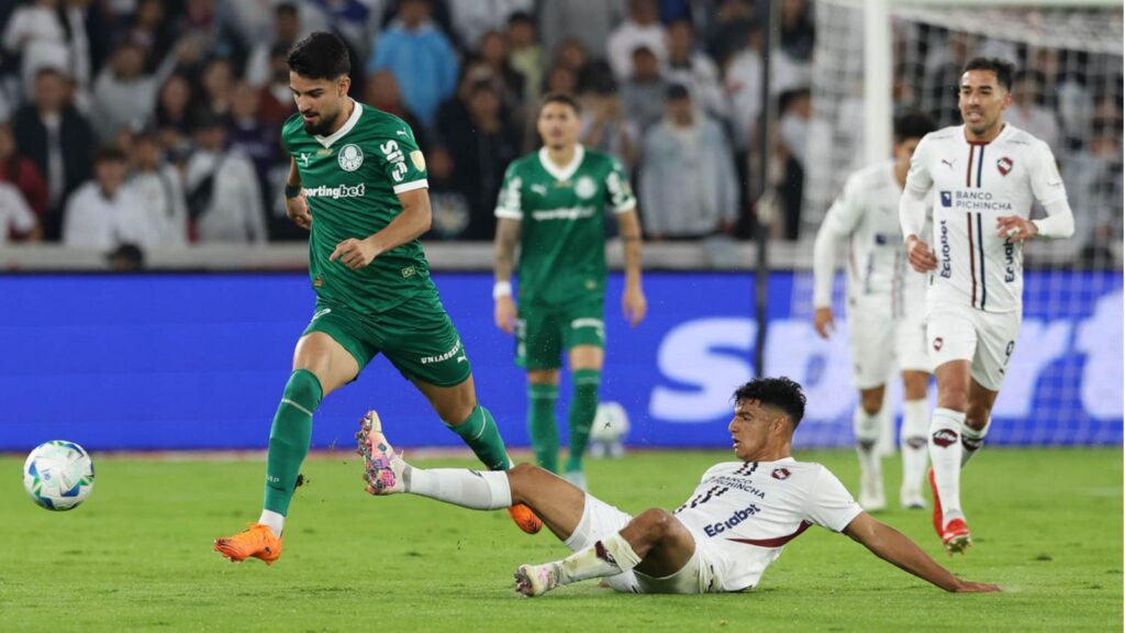 Capas para matérias (21) Foto: César Greco / Palmeiras