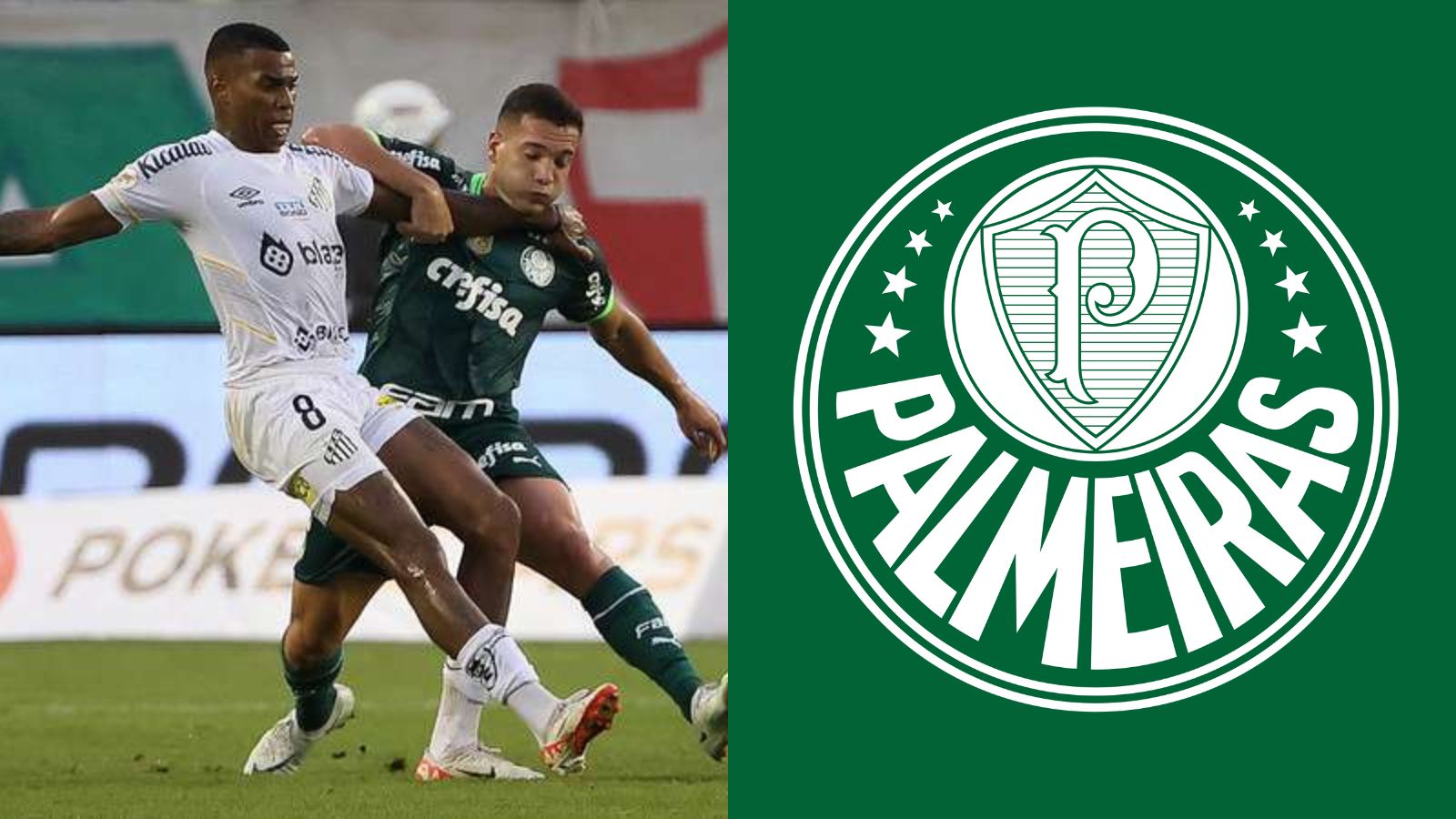 Santos x Palmeiras: jogo atrasado da 13ª rodada já tem nova data marcada