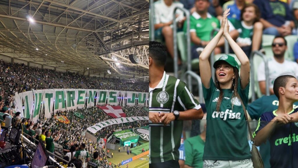 Capas para matérias (4)