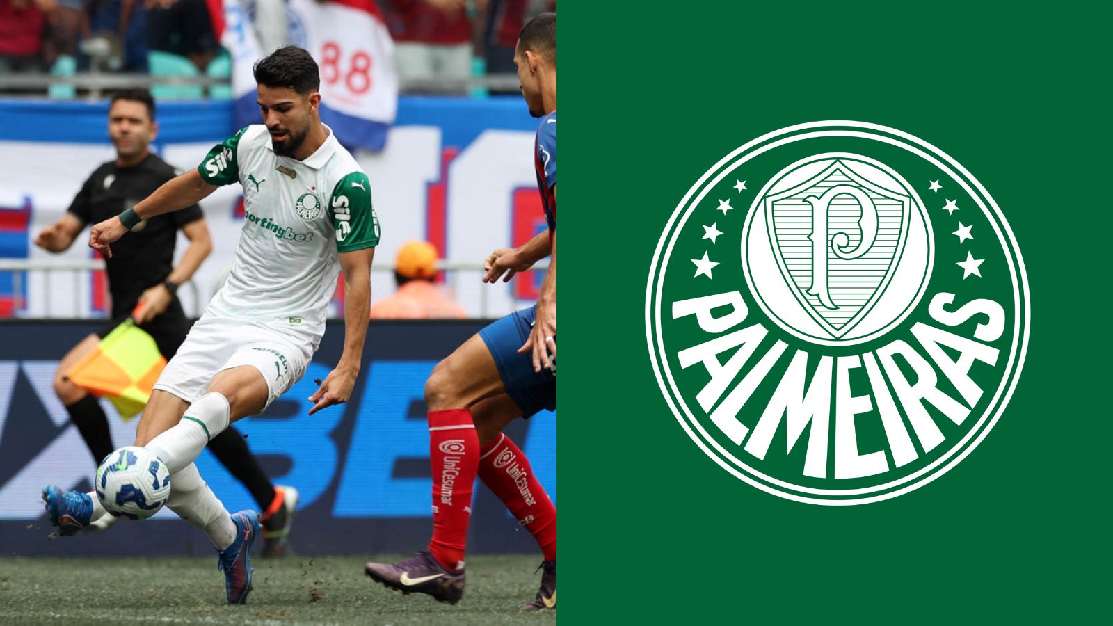 O Palmeiras que o São Paulo não conhece: nova dupla, novos destaques e um mesmo objetivo!