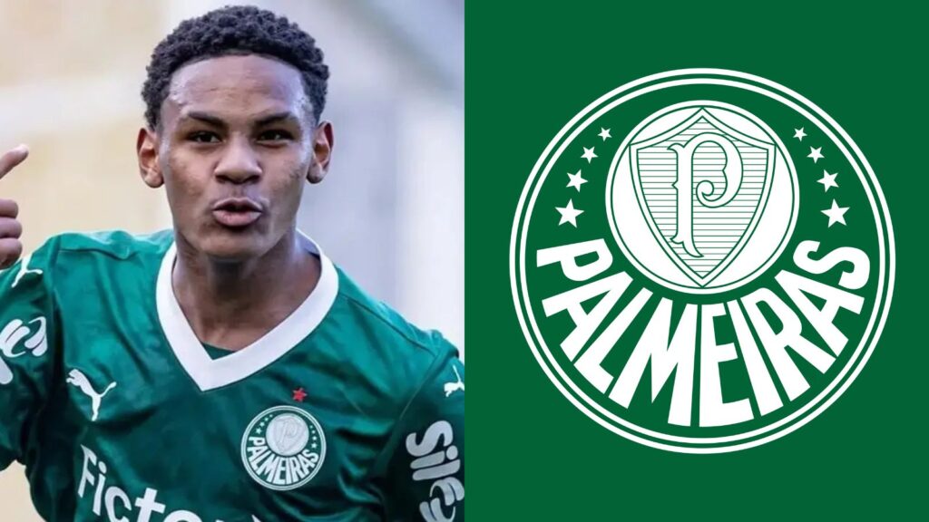 Capas para matérias (8)