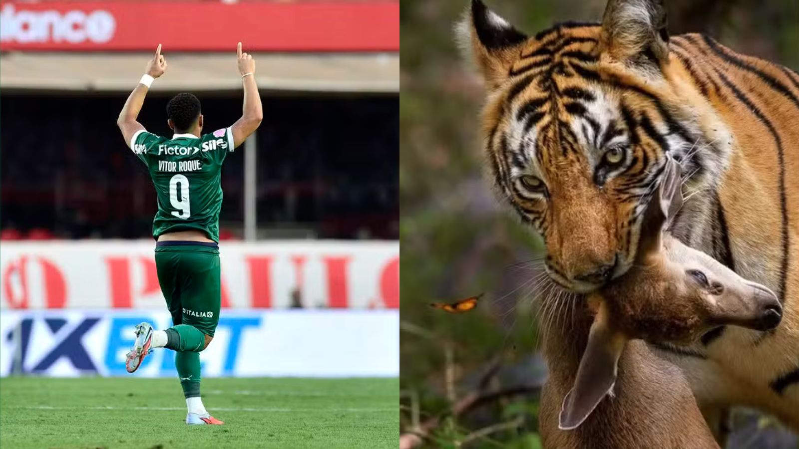 Vitor Roque apaga postagem após polêmica nas redes sociais depois de São Paulo x Palmeiras