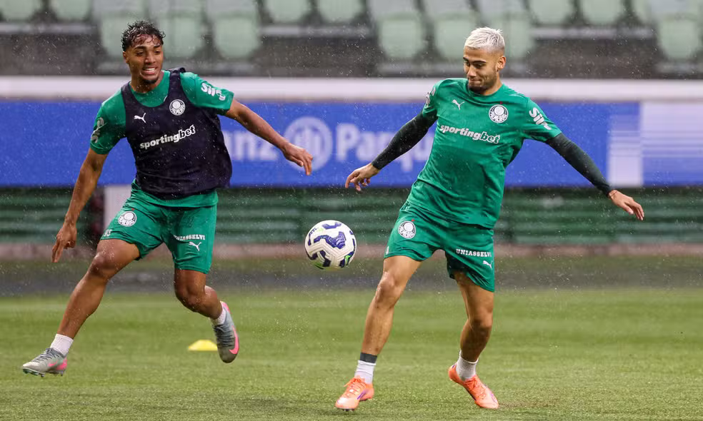 Foto: Cesar Greco/Ag Palmeiras